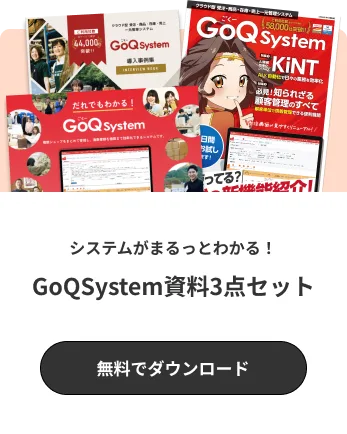 システムがまるっとわかる！GoQSystem資料3点セット